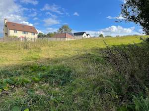 field on edge of houses