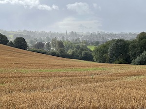 field with town in distance